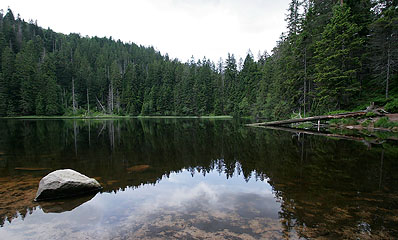 Moorwasser-See