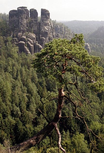 Gansfelsen