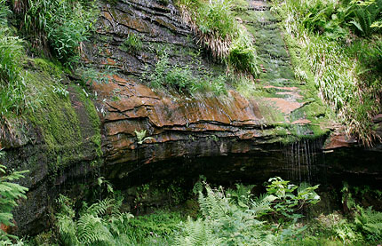 kleiner Wasserfall am Wegesrand