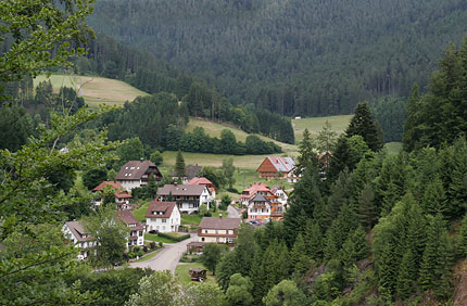 typisches Schwarzwalddorf I