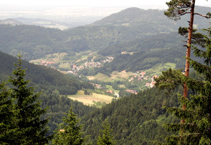 typisches Schwarzwalddorf II