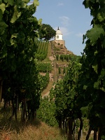 (Wein)Bergblick