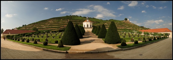 Weinberge am Schloss Wackerbarth