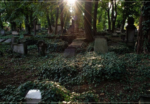 Eliasfriedhof Dresden - Dieses Album anzeigen Eliasfriedhof Dresden