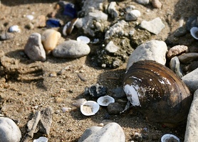 Spuren im Sand