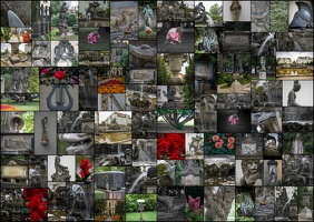 Collage2