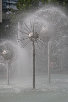 Pusteblumen 2