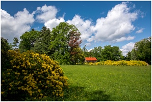 Kleines Haus am Wald