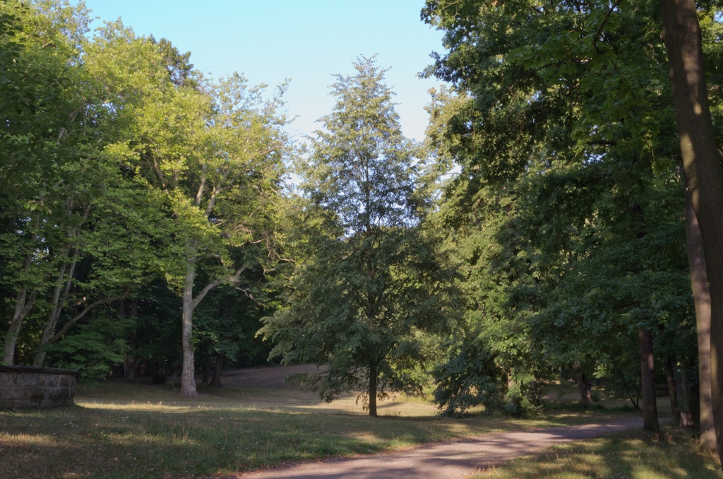Park - dsc_0251.jpg dsc_0251.jpg