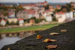 Herbst