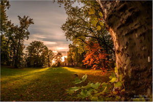 Herbst am Schloss Albrechtsberg