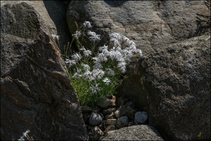 Findlingspark Nochten