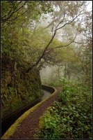 Levada1
