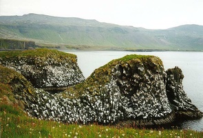 island105