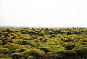 island003
