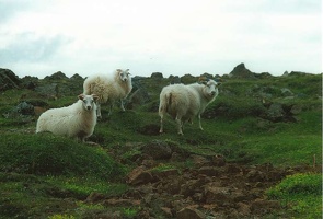 island076