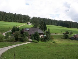 schwarzwald77