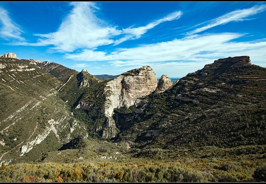 Aragon