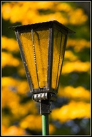 Gelbe lampe