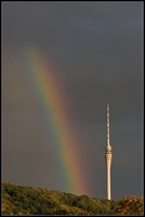 Regenbogen