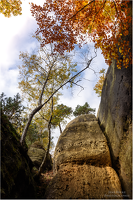 Herbstfelsen