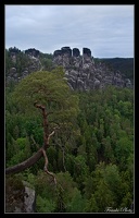 Blick in das Gebirge