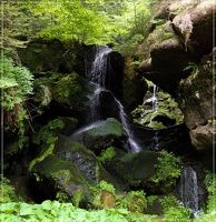 Der Lichtenhainer Wasserfall