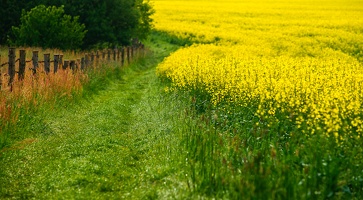 Sächsiche Schweiz 11
