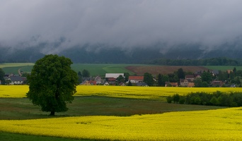 Sächsiche Schweiz 5