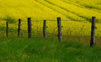 Sächsiche Schweiz 3