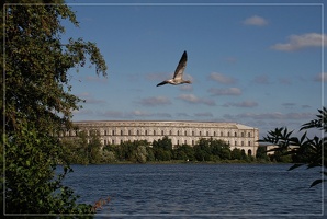 Gans(e) Kongresshalle