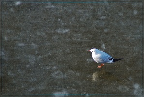 Eiskalte Füsse