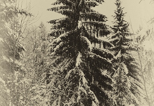 Schwarz-Weiss