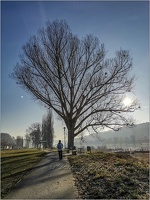 20190217 SächSchweiz 15