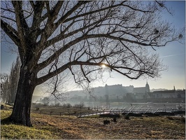 20190217 SächSchweiz 17