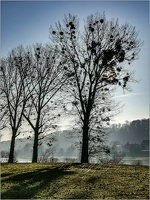 20190217 SächSchweiz 26
