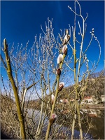 20190217 SächSchweiz 62