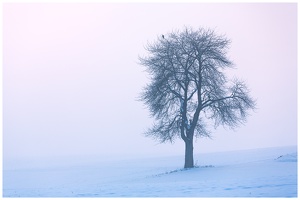 Winterpastell