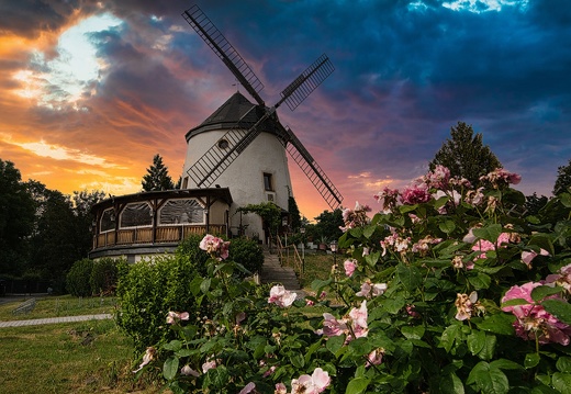 Mühlentour Gohlis & Leutewitz