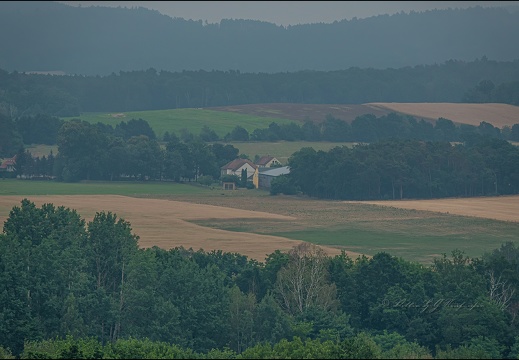 Königsbrücker Heide - Dieses Album anzeigen Königsbrücker Heide