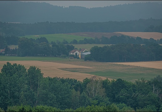 Königsbrücker Heide