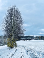 Winterwanderweg