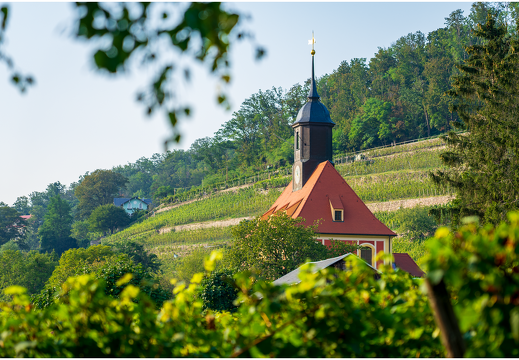 Rund um die Pillnitzer Weinberge - Dieses Album anzeigen Rund um die Pillnitzer Weinberge