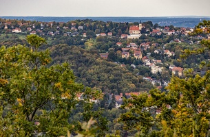 DHK MG 3273-1 Kopie