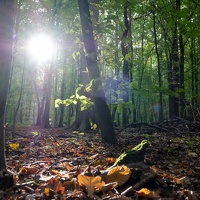 Vorn ist das Licht