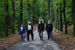 Heimwärts