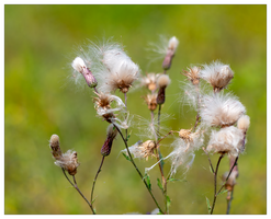 Bild (10 von 18)