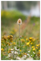 Bild (11 von 18)