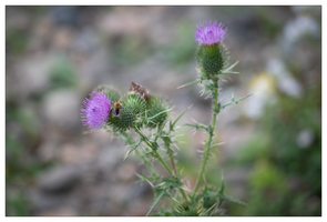 Bild (13 von 18)