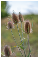 Bild (17 von 18)